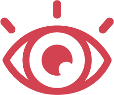 VISION
